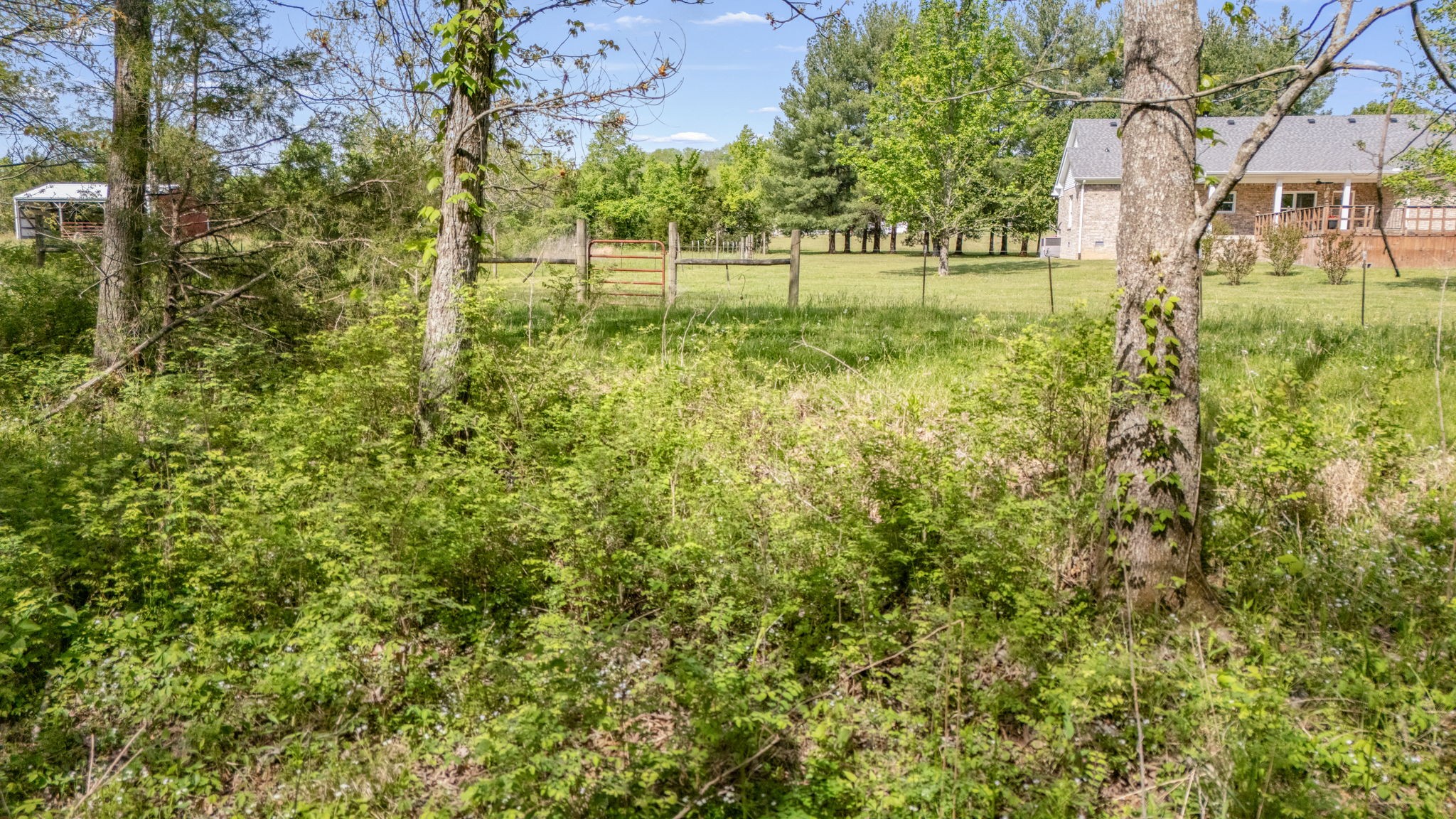 15495 Cainsville Road Milton, TN 37118 - Photo 39 of 50