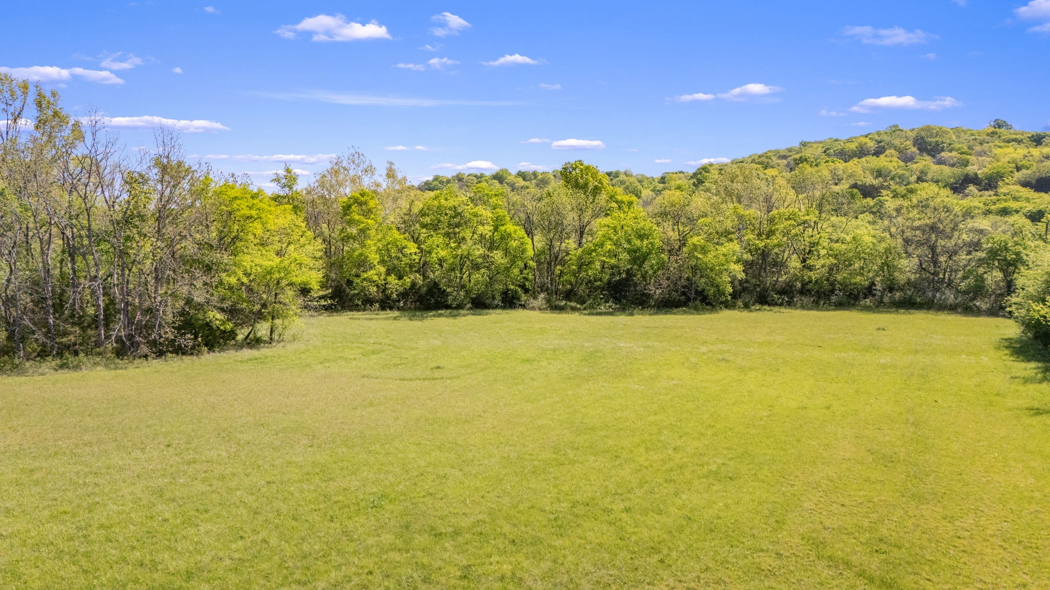 15495 Cainsville Road Milton, TN 37118 - Photo 42 of 50