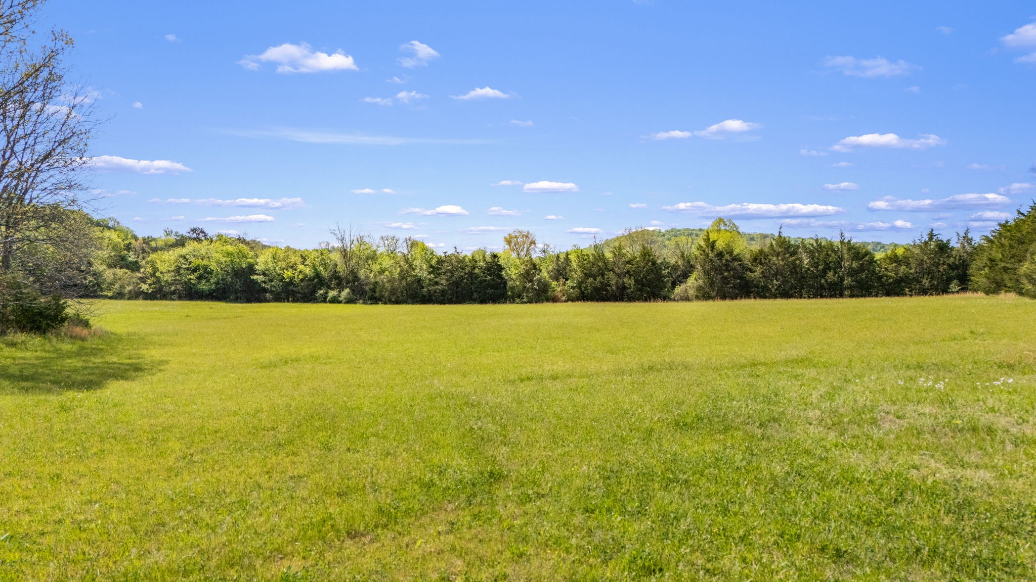 15495 Cainsville Road Milton, TN 37118 - Photo 43 of 50