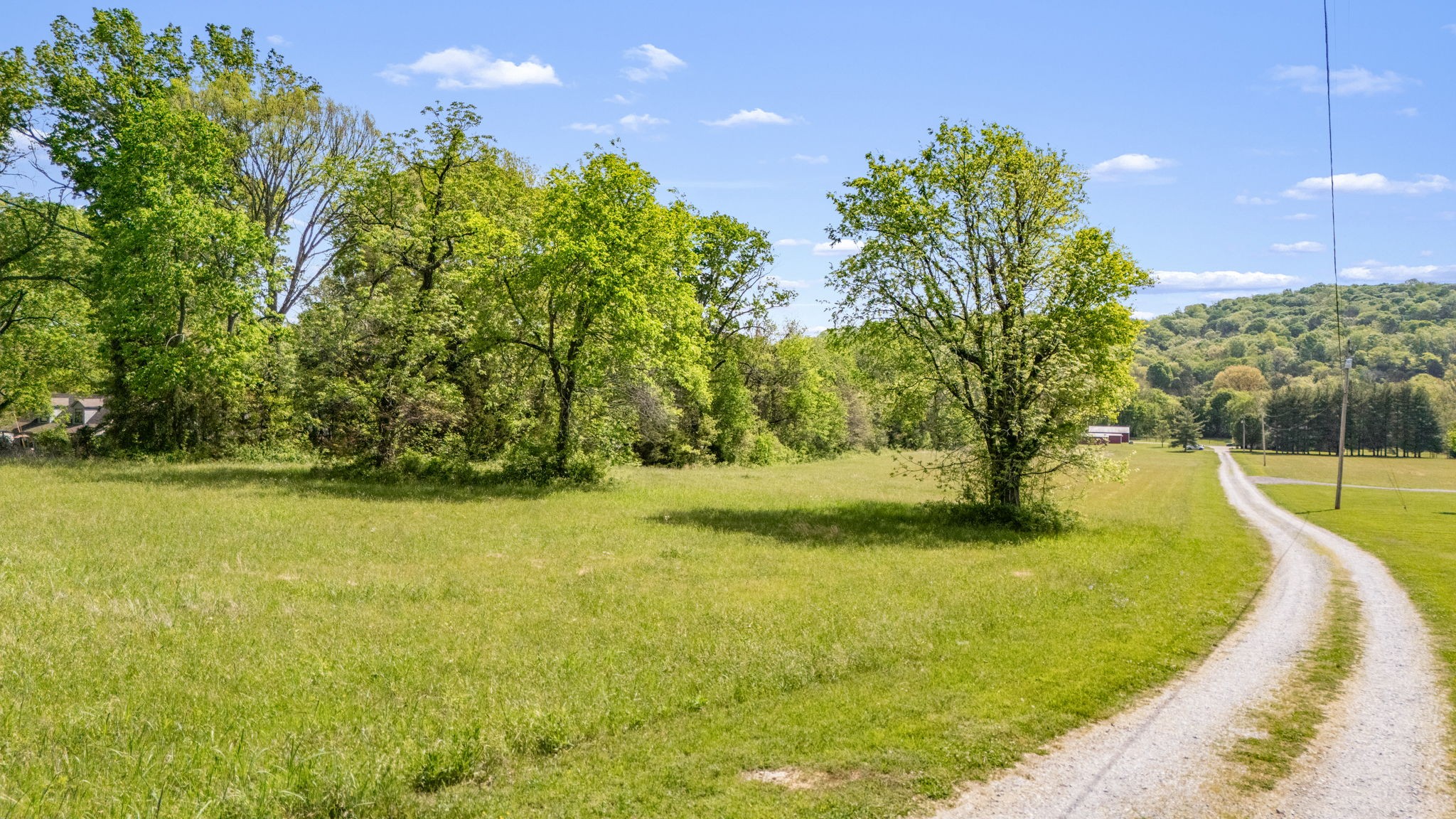 15495 Cainsville Road Milton, TN 37118 - Photo 6 of 50