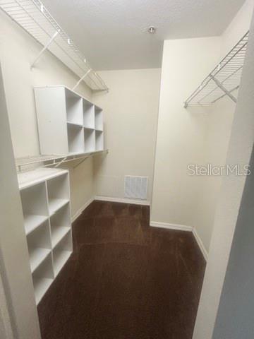 5616 Pinnacle Heights Circle, Unit 302 Tampa, FL 33624 - Photo 9 of 12 a view of an empty walk in closet