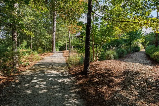 a view of a yard with plants and trees