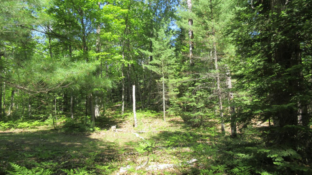 4971 Birch Road Land O'Lakes, WI 54540 - Photo 31 of 38 Gallery Image 31