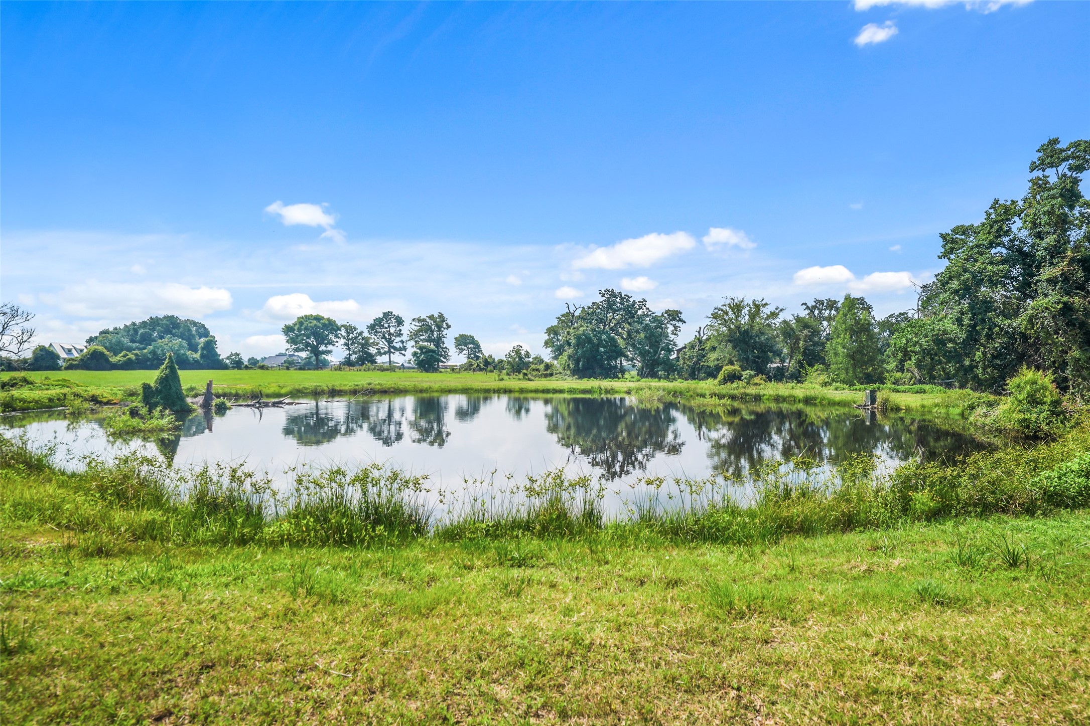 26618 Mitchell Road Hempstead, TX 77445 - Photo 5 of 15 Pond is stocked with Florida Bass, Crappie, and Blue Channel Catfish.