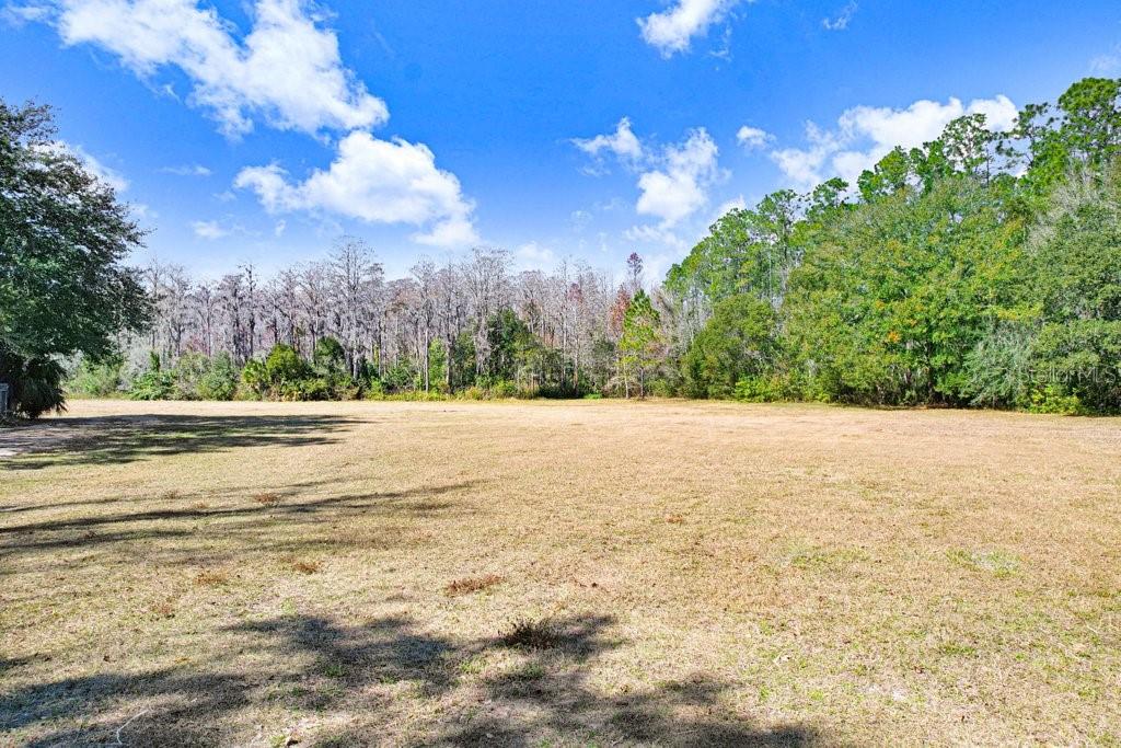 17308 Tobacco Road Lutz, FL 33558 - Photo 29 of 43 Gallery Image 29