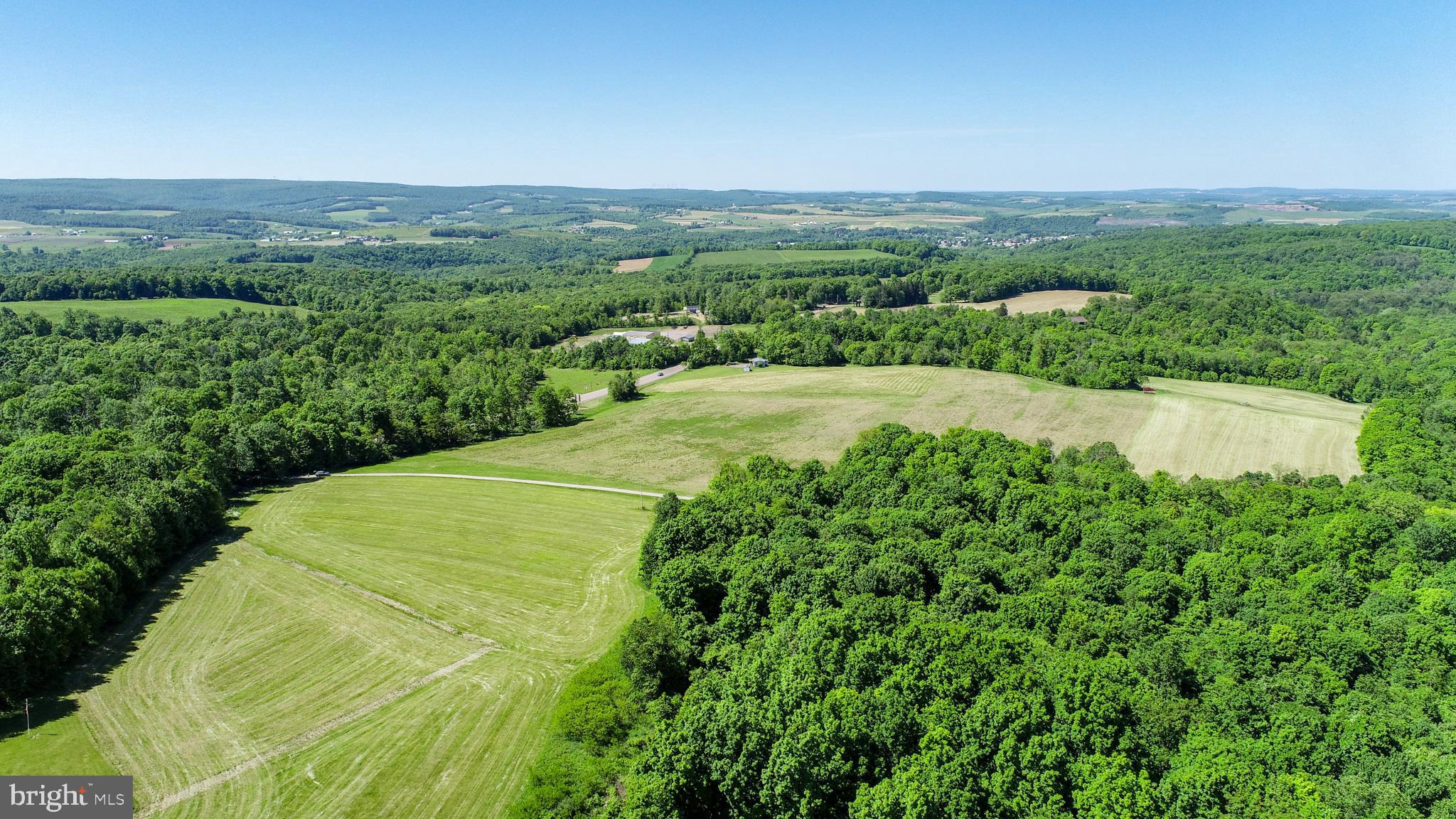 5-acres Chestnut Ridge Road Grantsville, MD 21536 - Photo 6 of 16