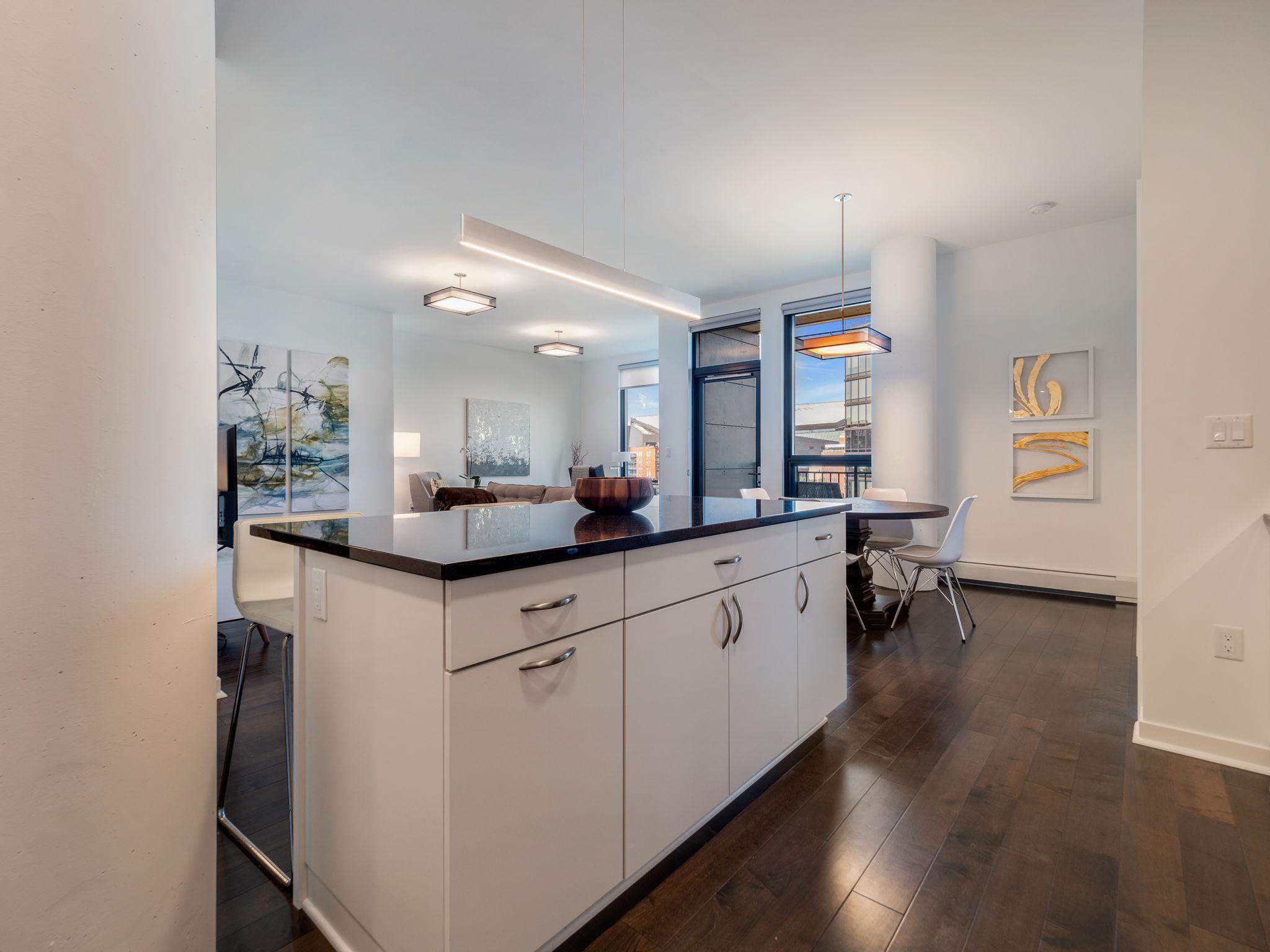 1240 South 2nd Street, Unit 520 Minneapolis, MN 55415 - Photo 8 of 53