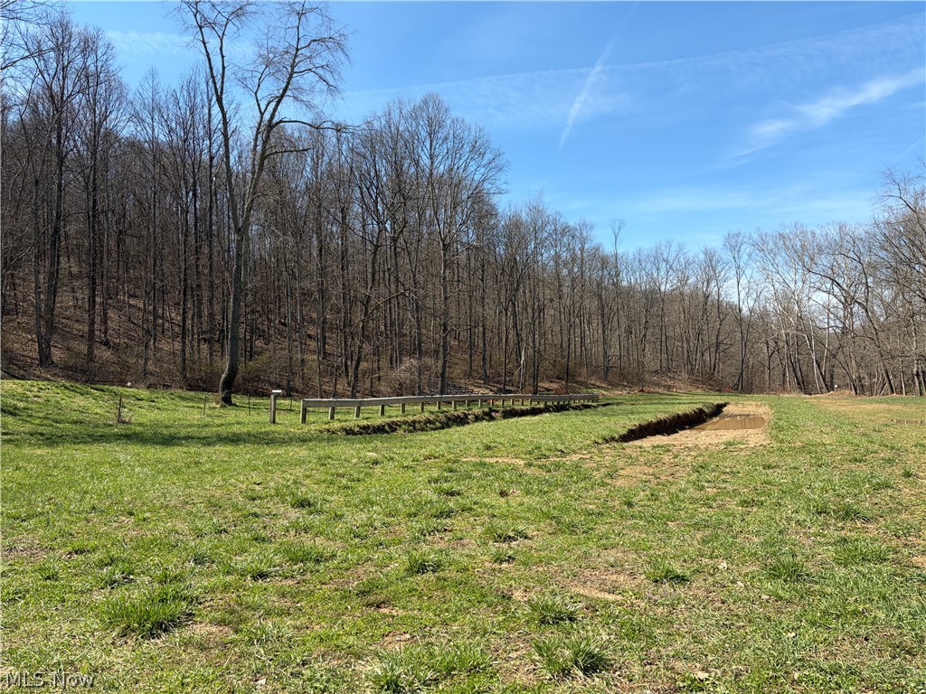 1285 Moody Hollow Road Blue Rock, OH 43720 - Photo 14 of 20 View of green lawn featuring a view of rural / pastoral area