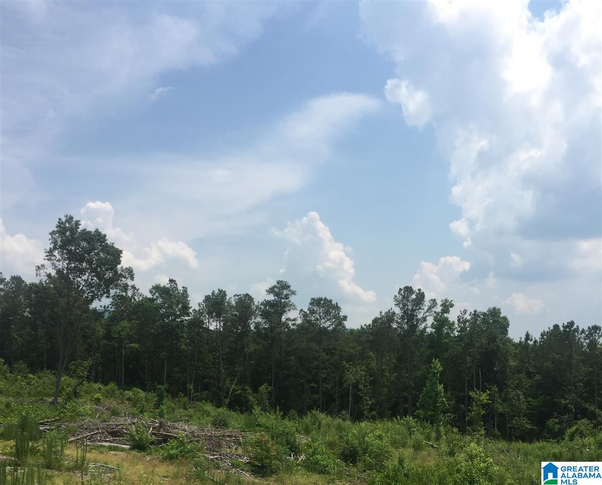 0 Rendalia Motorway, Unit 29 ACRES Talladega, AL 35160 - Photo 14 of 21