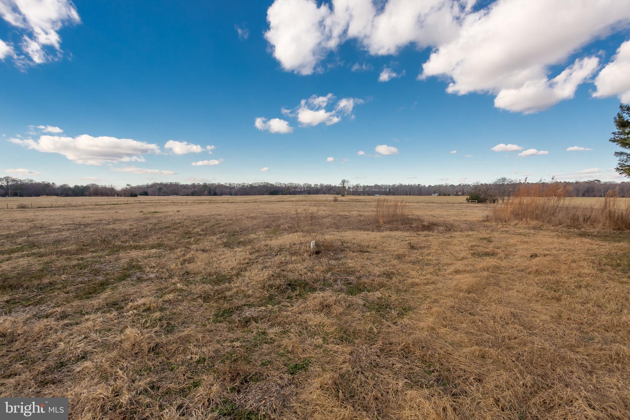 7904 Clark Road Denton, MD 21629 - Photo 47 of 71