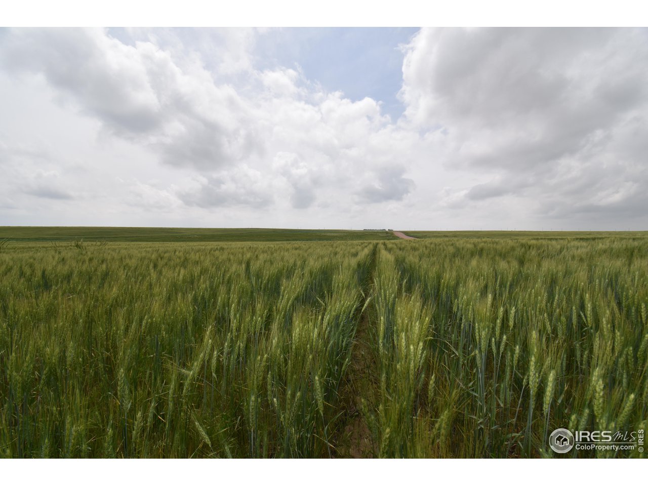 57 County Road East Yuma, CO 80759 - Photo 1 of 16 320 +/- Deeded Acres