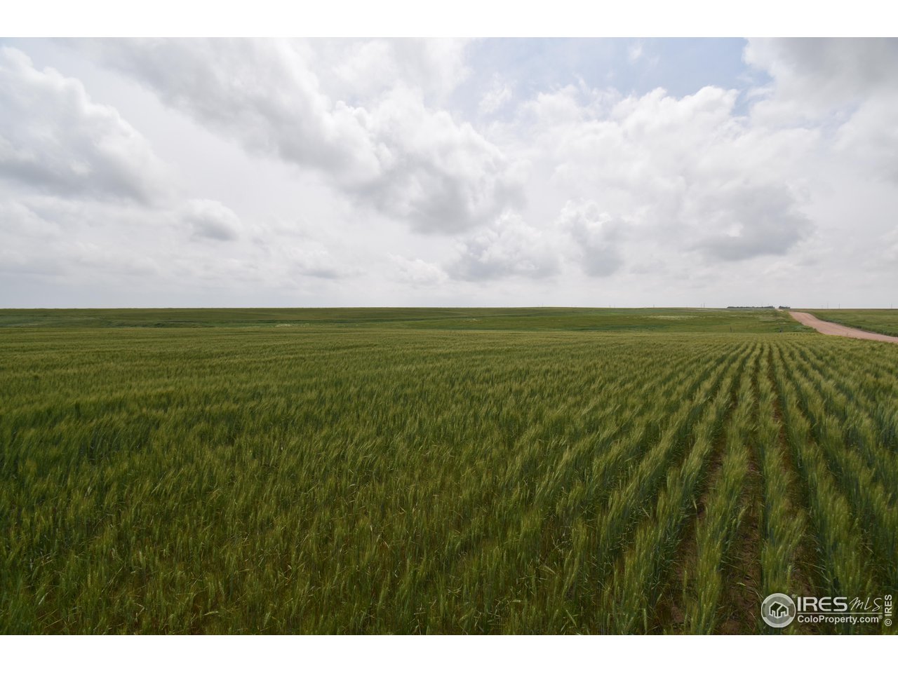 57 County Road East Yuma, CO 80759 - Photo 2 of 16 Farm Ground in Yuma County Colorado