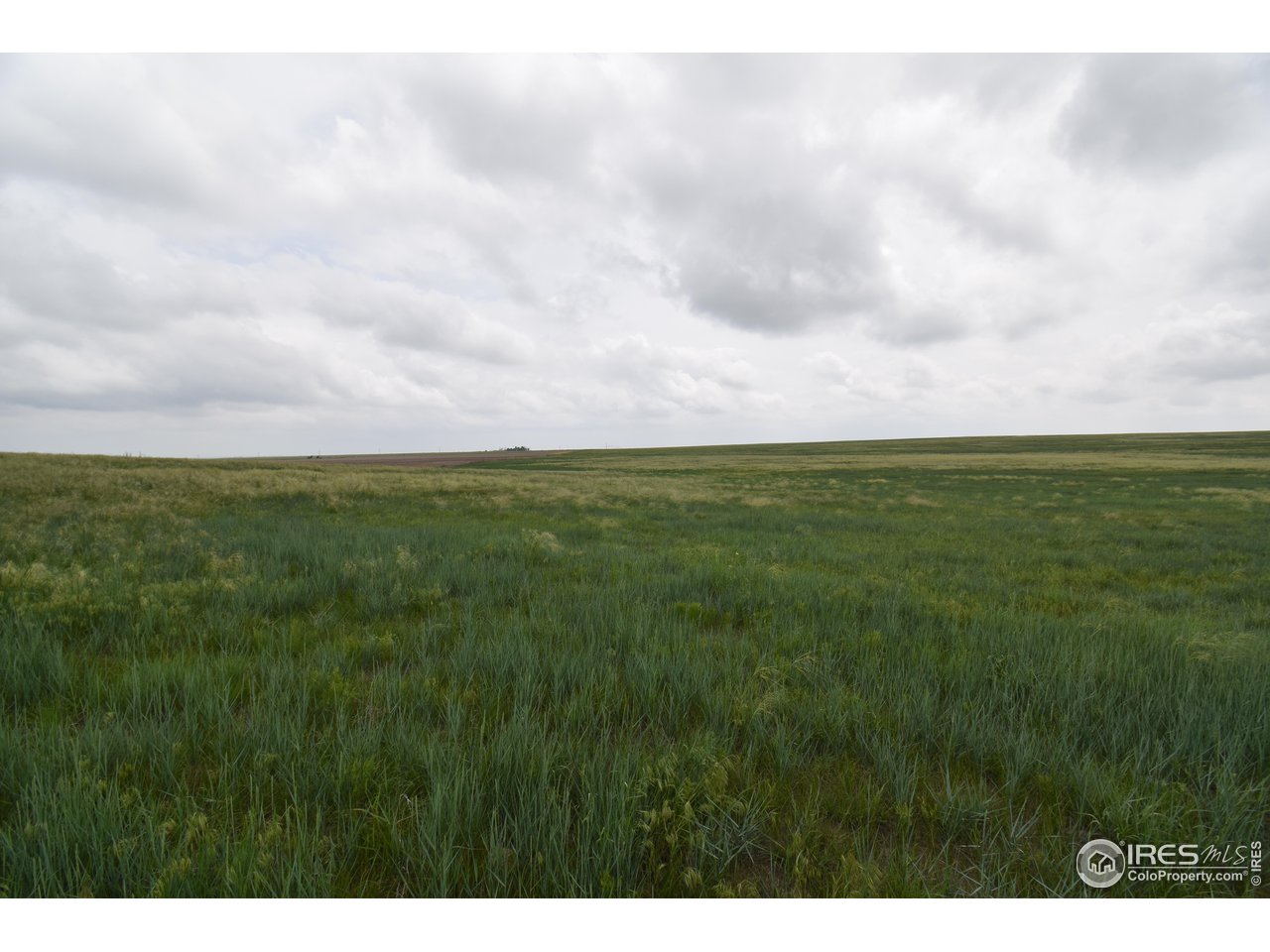 57 County Road East Yuma, CO 80759 - Photo 3 of 16 Great Mix use property with pasture