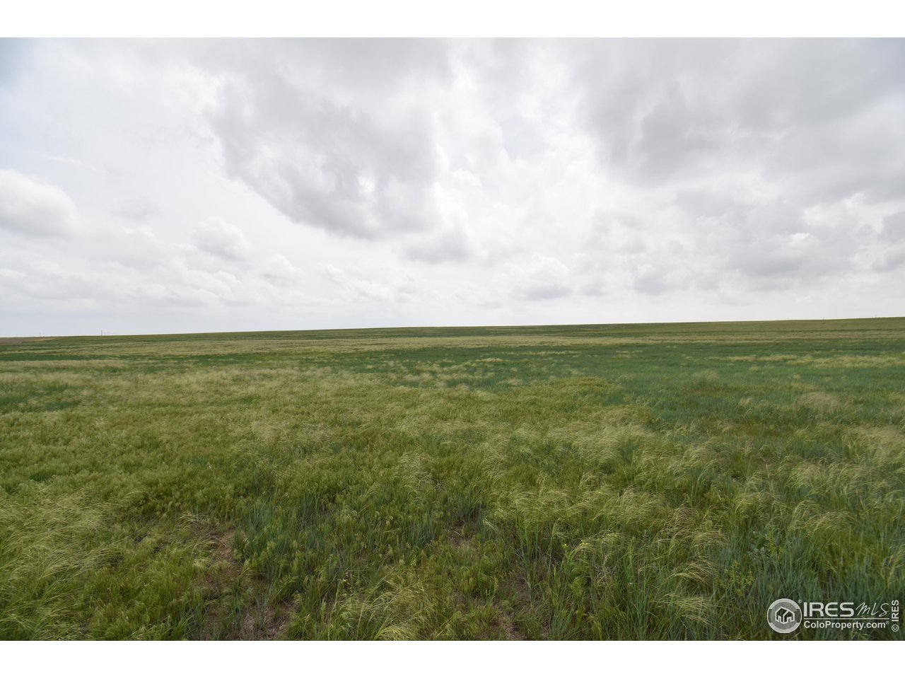 57 County Road East Yuma, CO 80759 - Photo 4 of 16 Gallery Image 4