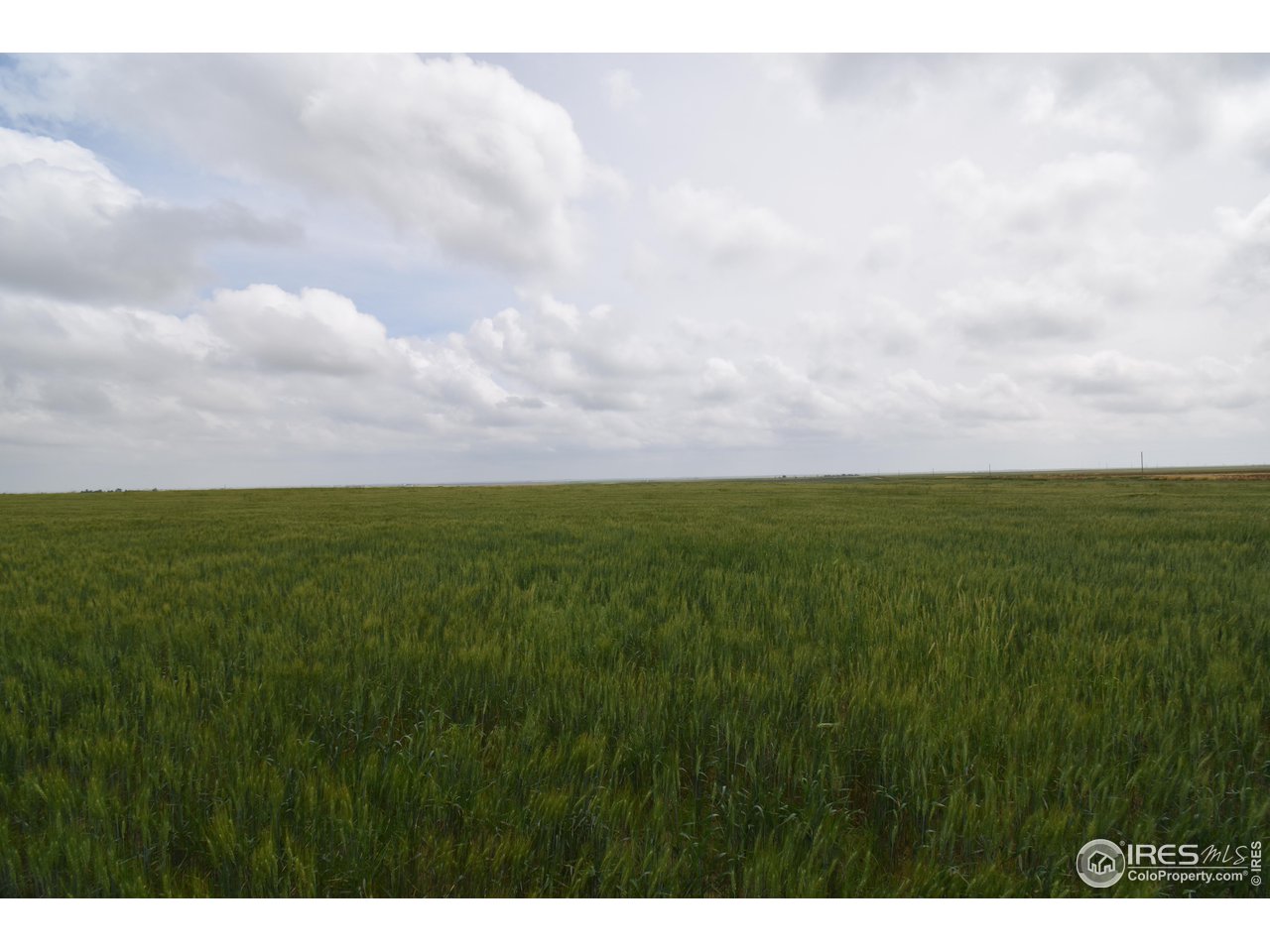 57 County Road East Yuma, CO 80759 - Photo 5 of 16 Gallery Image 5