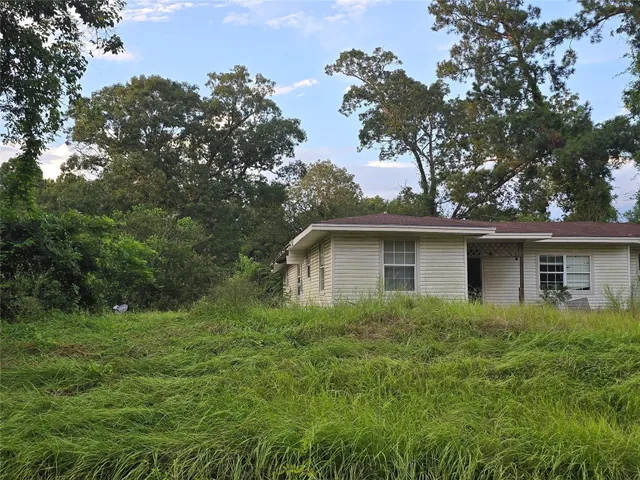a plant is in front of a house