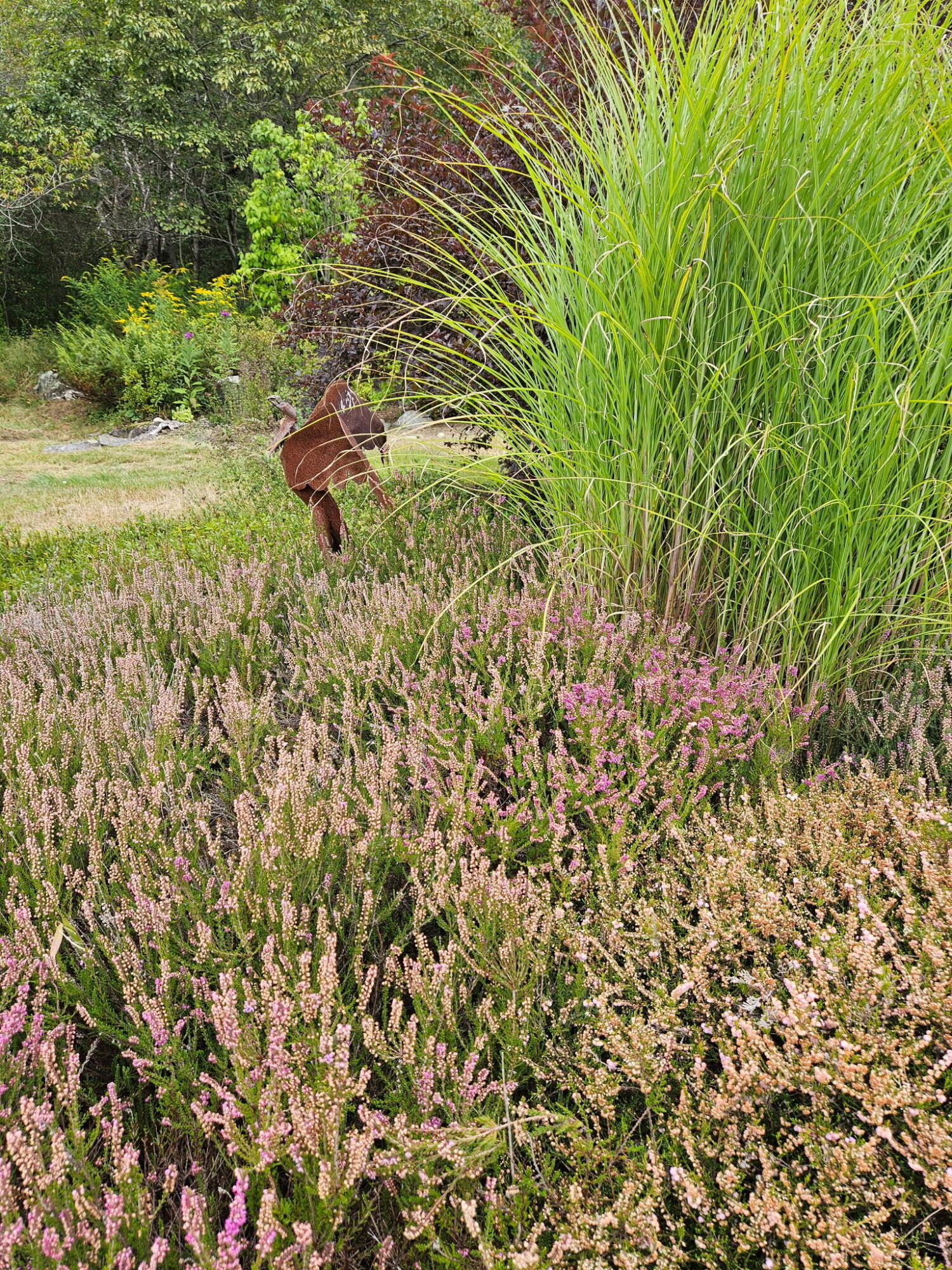 63 Raccoon Cushing, ME 04563 - Photo 53 of 61 2073091768473866294