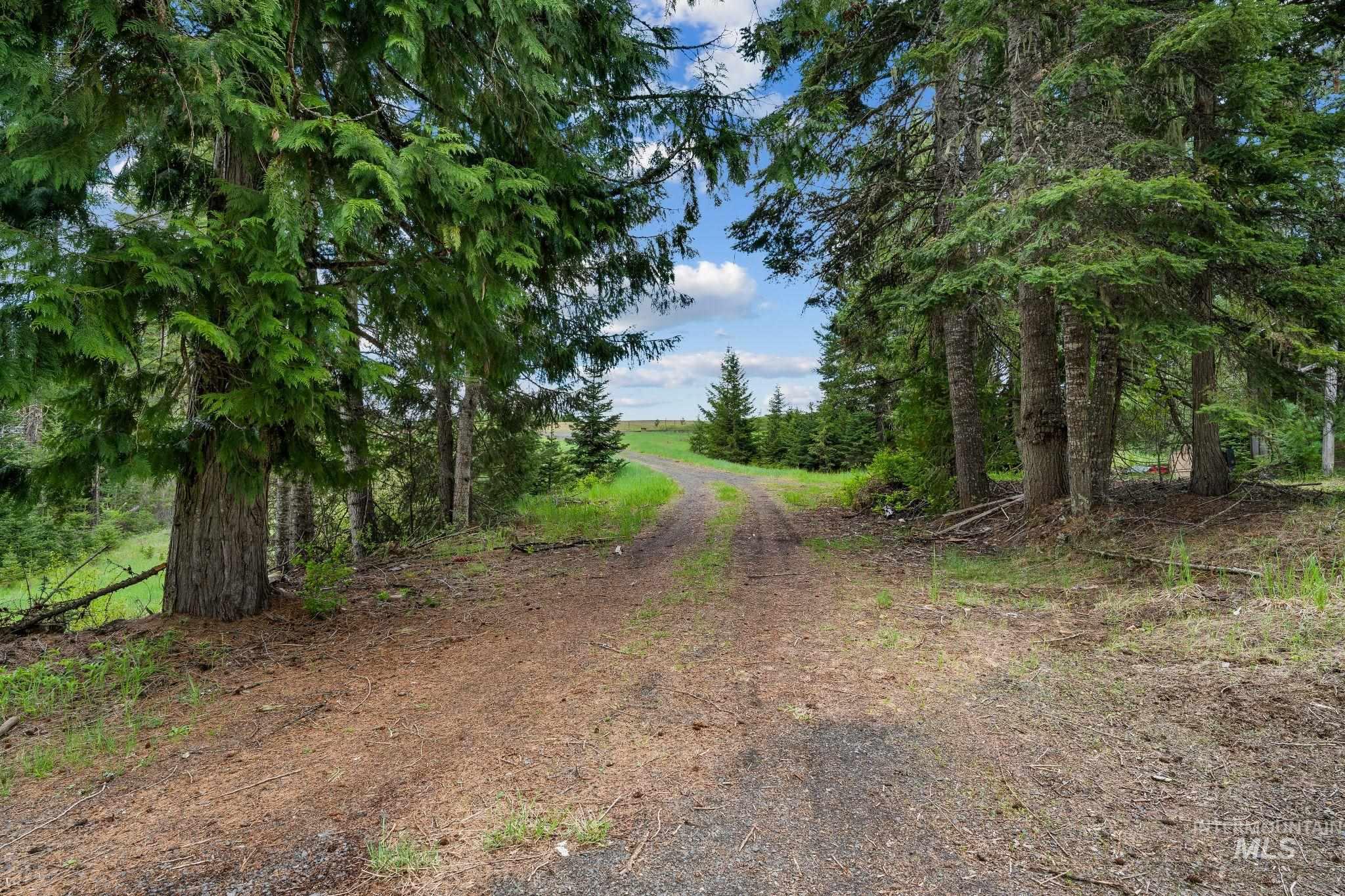 4715 Freeman Creek Road Lenore, ID 83541 - Photo 40 of 50