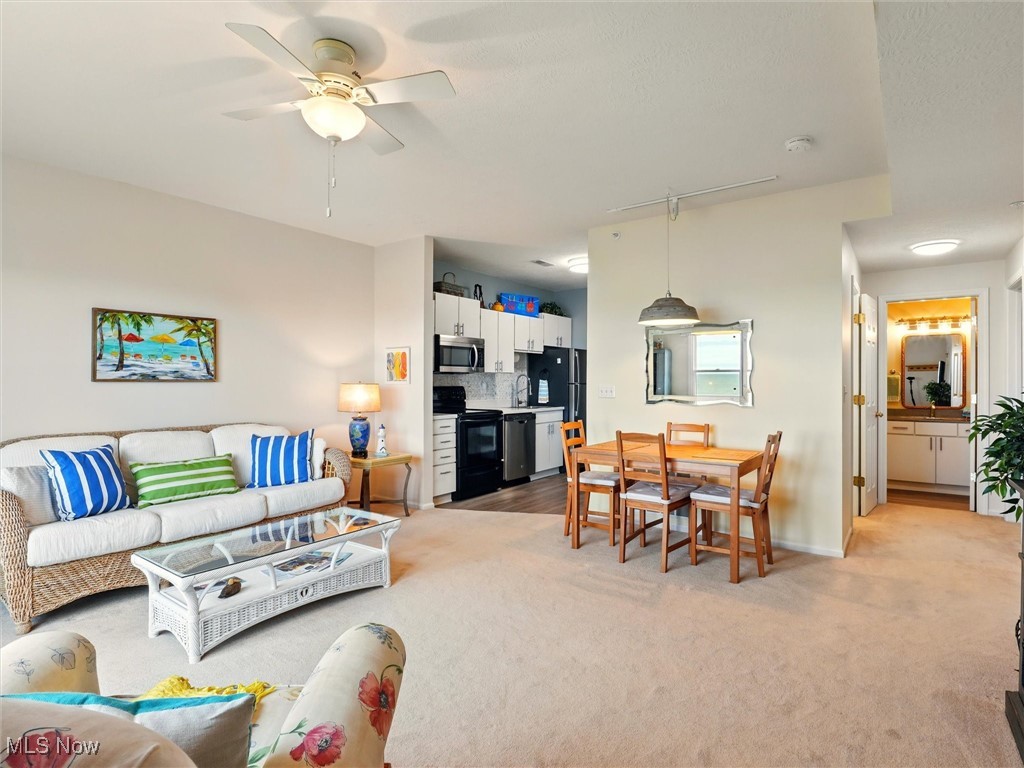 5237 Lake Road West, Unit 1103 Ashtabula, OH 44004 - Photo 7 of 29 Gallery Image 7
