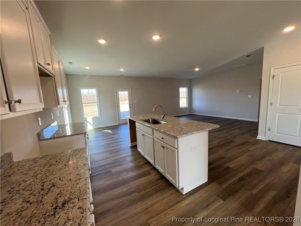4025 Blue Springs Road Red Springs, NC 28377 - Photo 7 of 27 Gallery Image 7