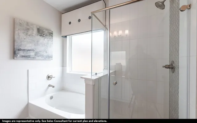 a bathroom with a bathtub and shower
