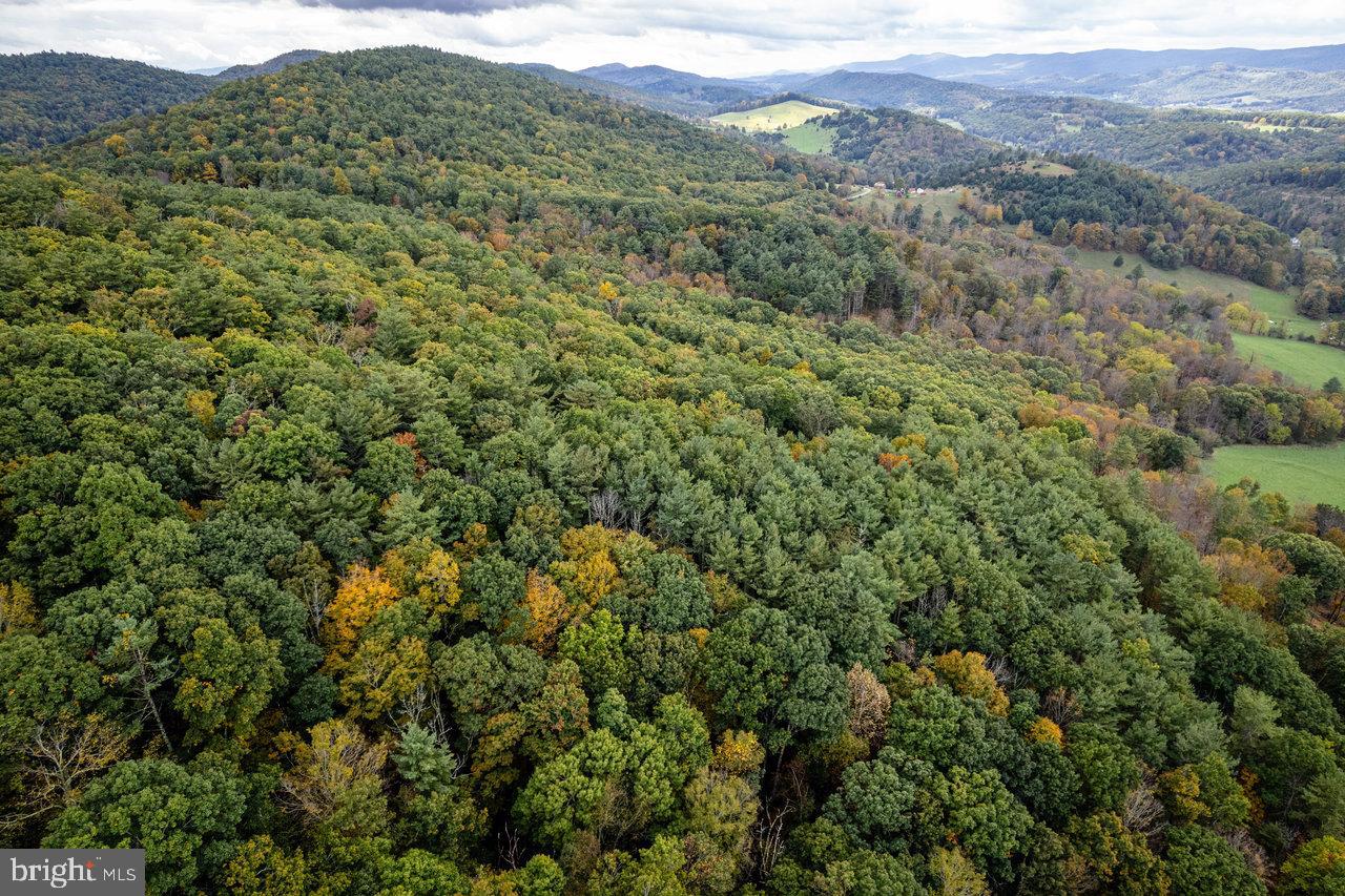 0 Dry Run Road Sugar Grove, WV 26815 - Photo 20 of 34