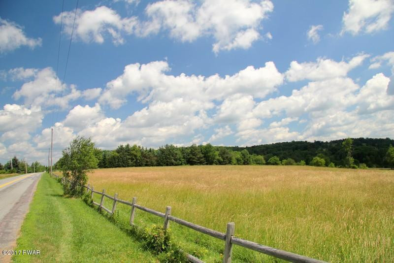 Dennis Road Honesdale, PA 18431 - Photo 4 of 4