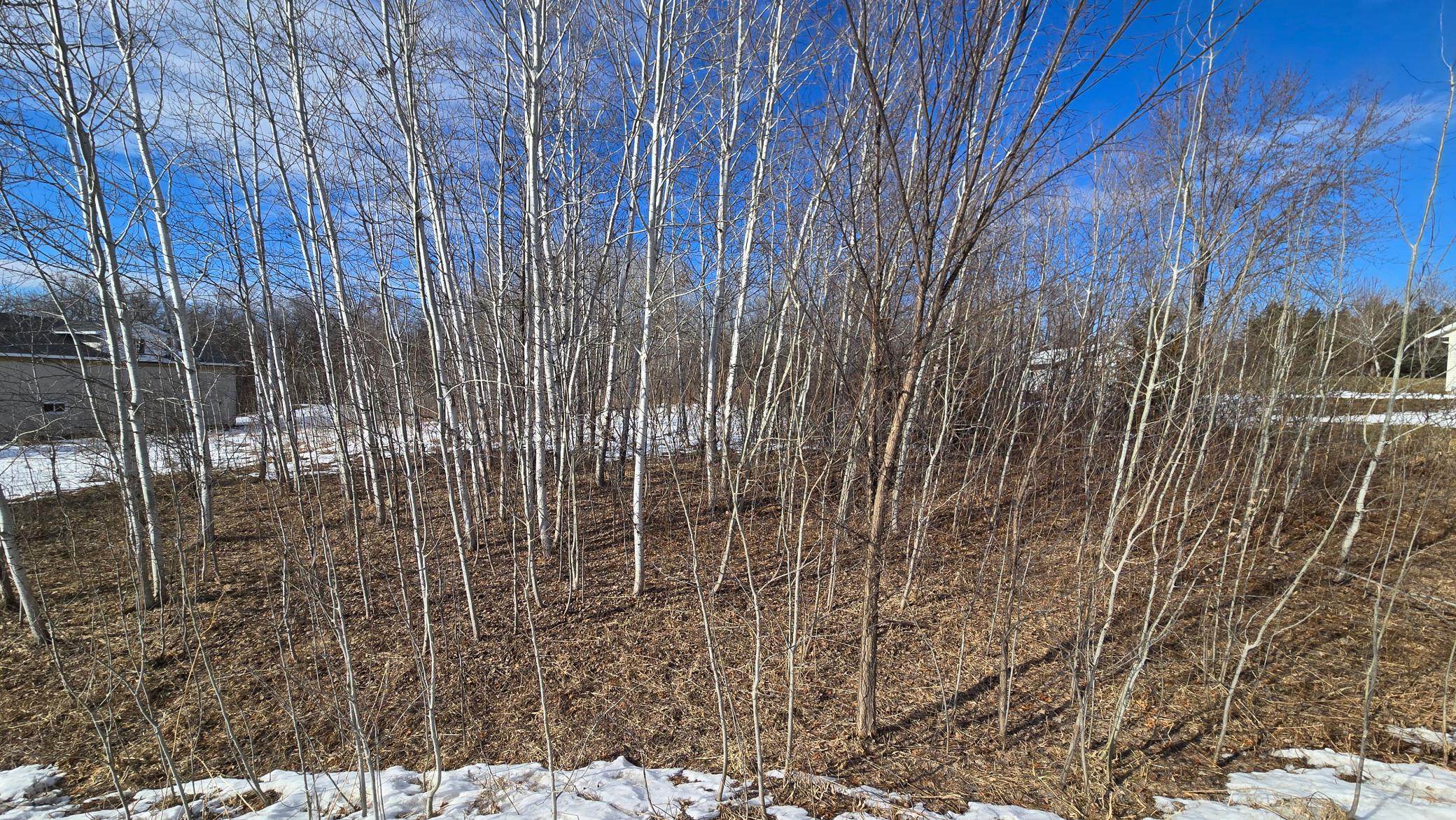 6012 Galaxy Road St. Augusta, MN 56301 - Photo 9 of 12