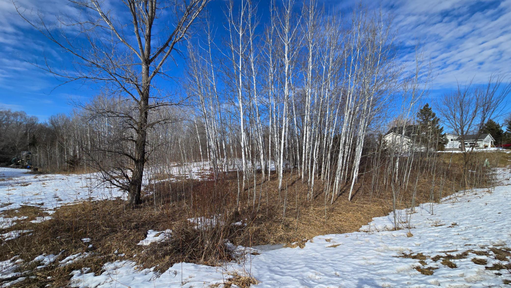 6012 Galaxy Road St. Augusta, MN 56301 - Photo 10 of 12