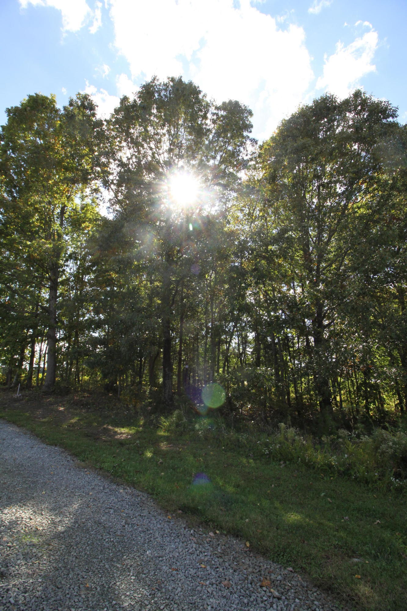 2615 Hatchett Road Penhook, VA 24137 - Photo 22 of 38 a view of a field with trees in the background