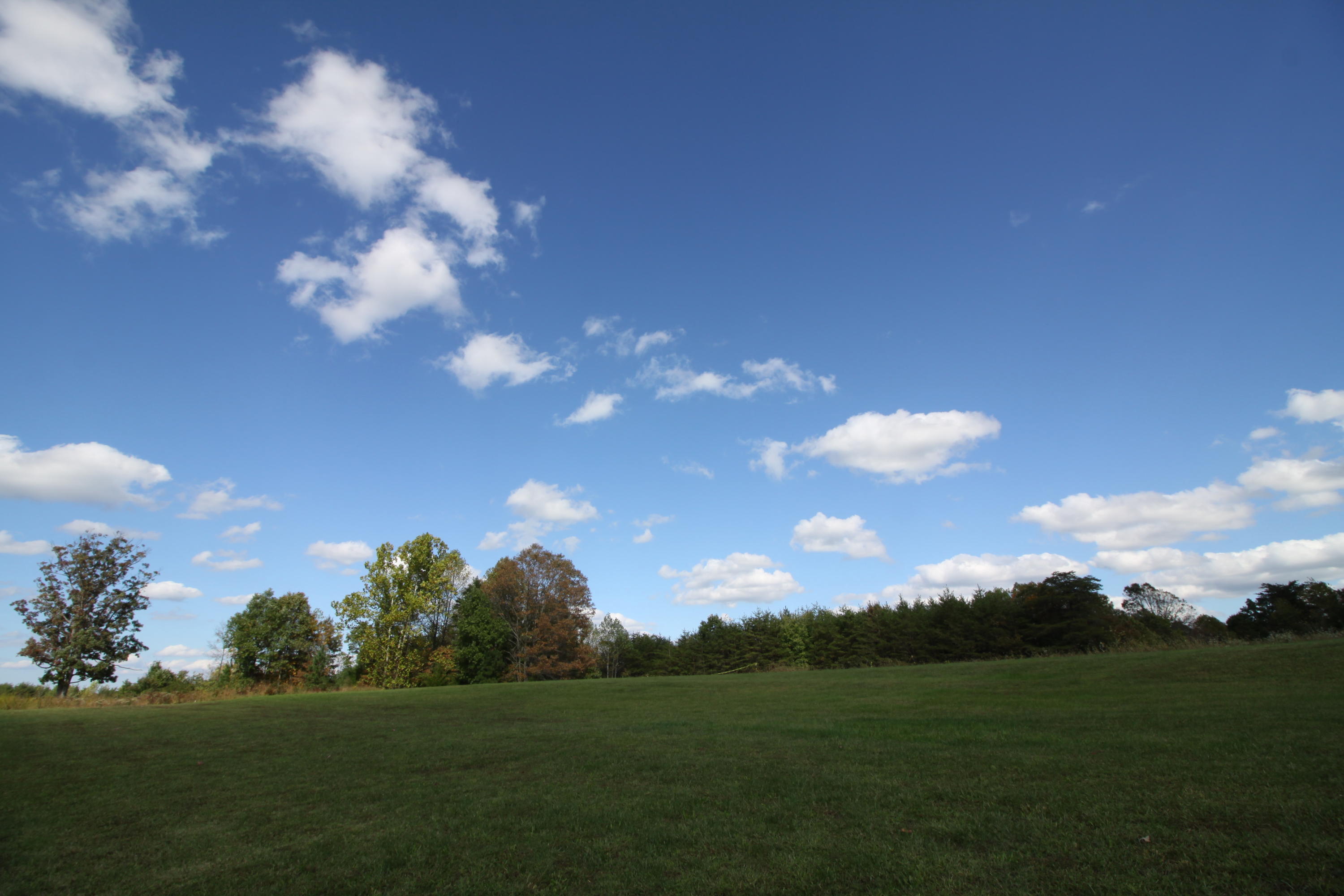2615 Hatchett Road Penhook, VA 24137 - Photo 23 of 38 a view of a big yard