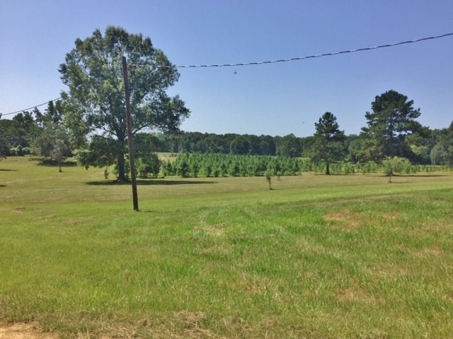 0 C R Conerly Road Kokomo, MS 39643 - Photo 13 of 24 Photo 13