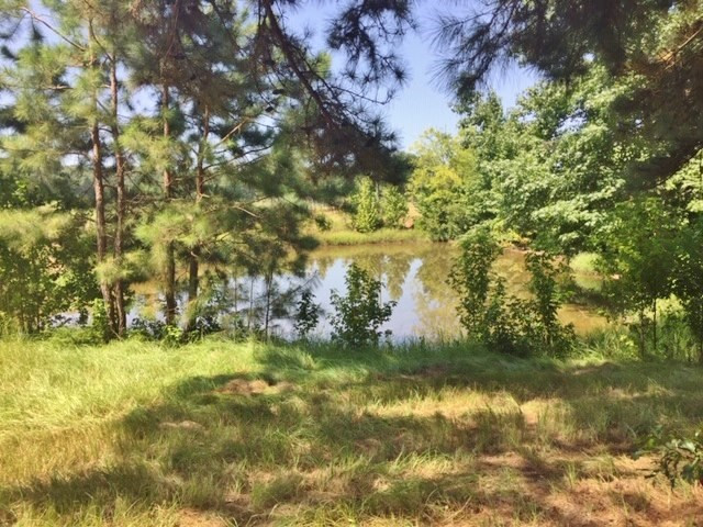 0 C R Conerly Road Kokomo, MS 39643 - Photo 17 of 24 Photo 17