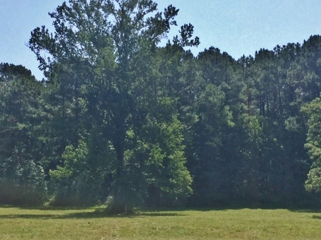 0 C R Conerly Road Kokomo, MS 39643 - Photo 24 of 24 Photo 24