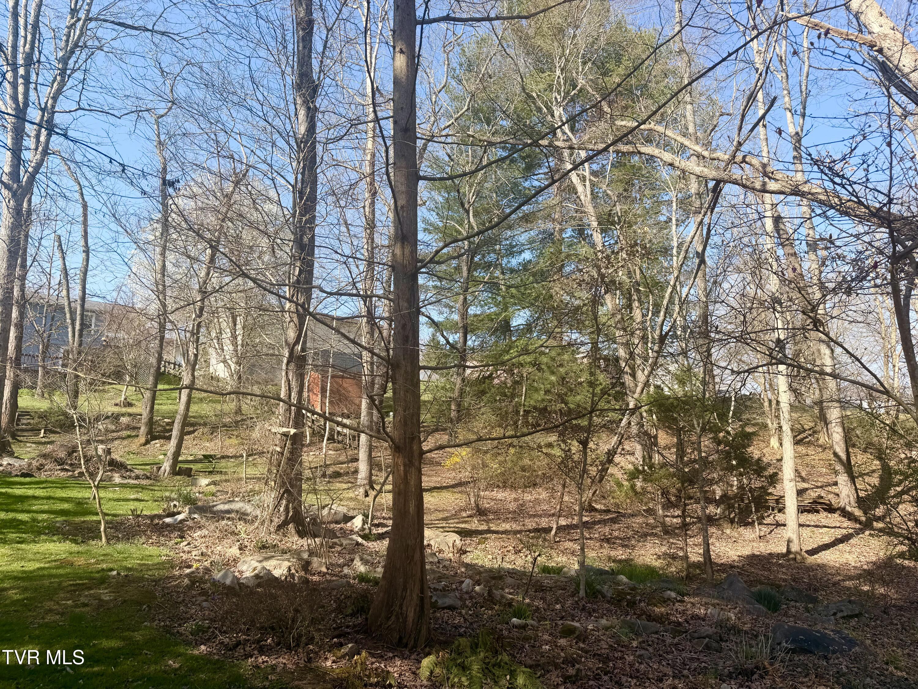 121 Beverly Avenue Southwest Wise, VA 24293 - Photo 50 of 94 property