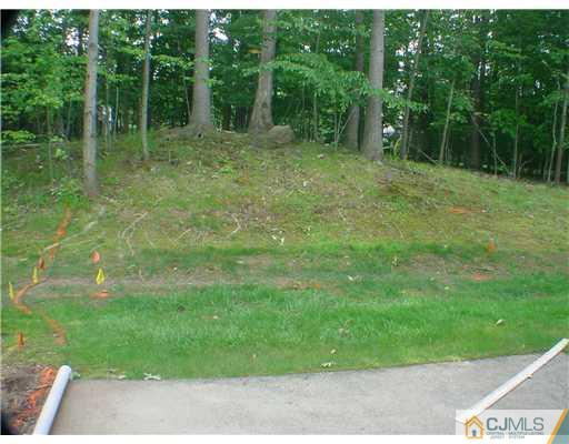 2202 Timber Oaks Road Edison, NJ 08820 - Photo 10 of 10 a view of outdoor space and yard