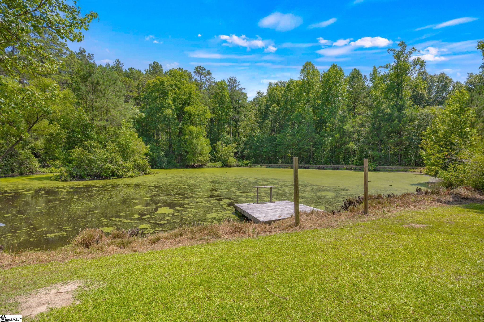 5283 Indian Creek Road Kinards, SC 29355 - Photo 6 of 40