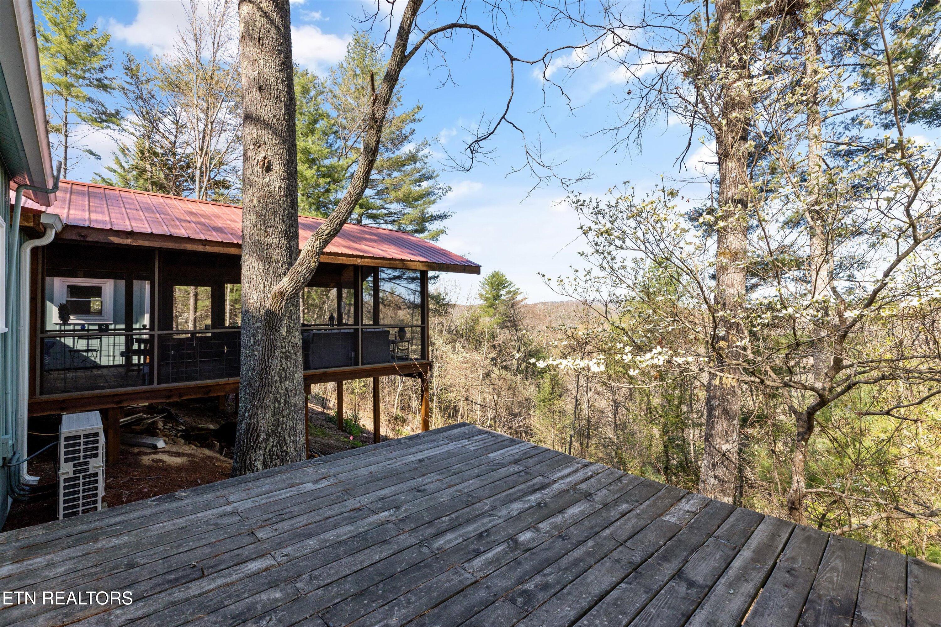 151 Gold Miners Road Tellico Plains, TN 37385 - Photo 39 of 59 30-151 Gold Miners-24