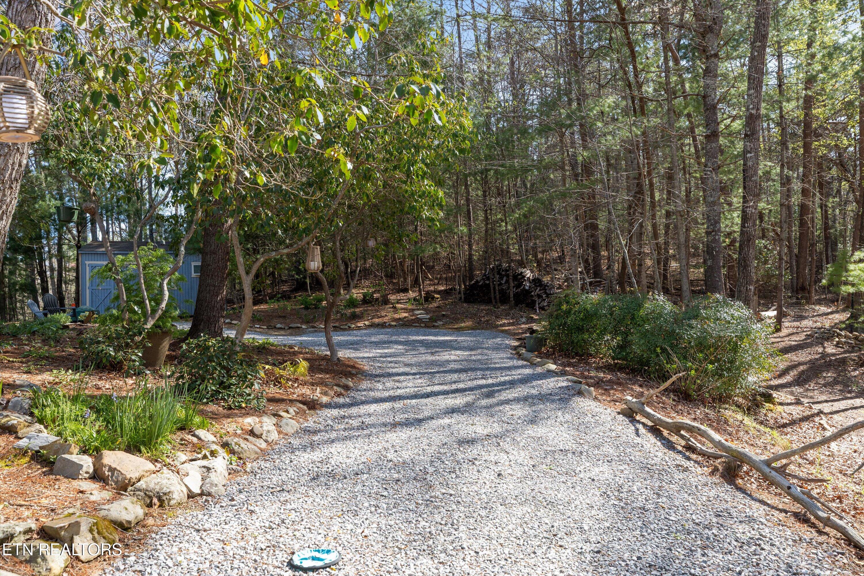 151 Gold Miners Road Tellico Plains, TN 37385 - Photo 42 of 59 36-151 Gold Miners-29