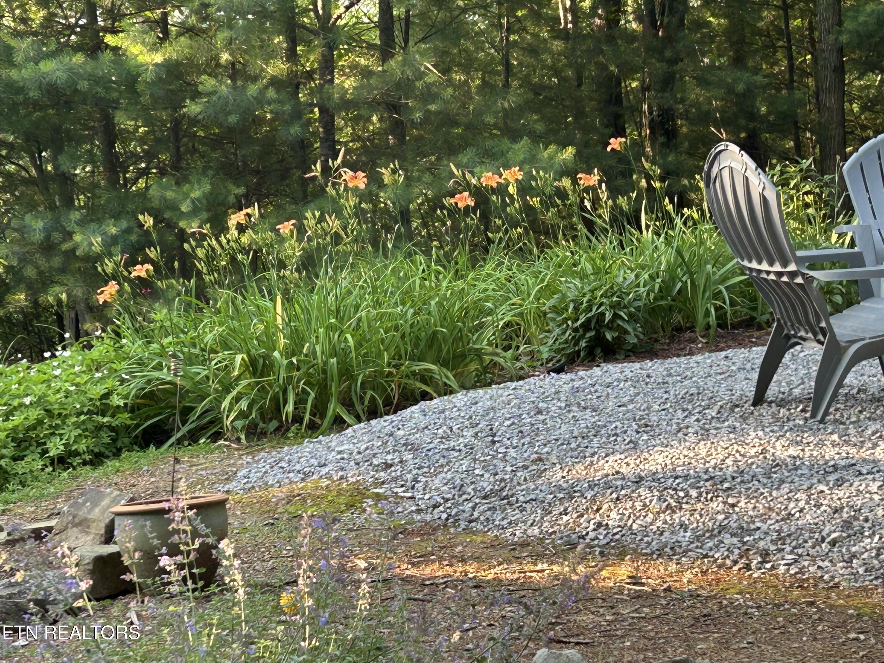 151 Gold Miners Road Tellico Plains, TN 37385 - Photo 53 of 59 IMG_2075