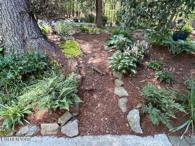 151 Gold Miners Road Tellico Plains, TN 37385 - Photo 55 of 59 IMG_0601