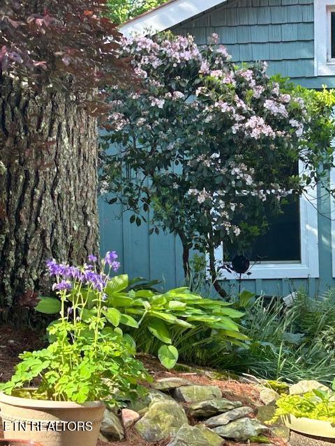 151 Gold Miners Road Tellico Plains, TN 37385 - Photo 58 of 59 IMG_0657