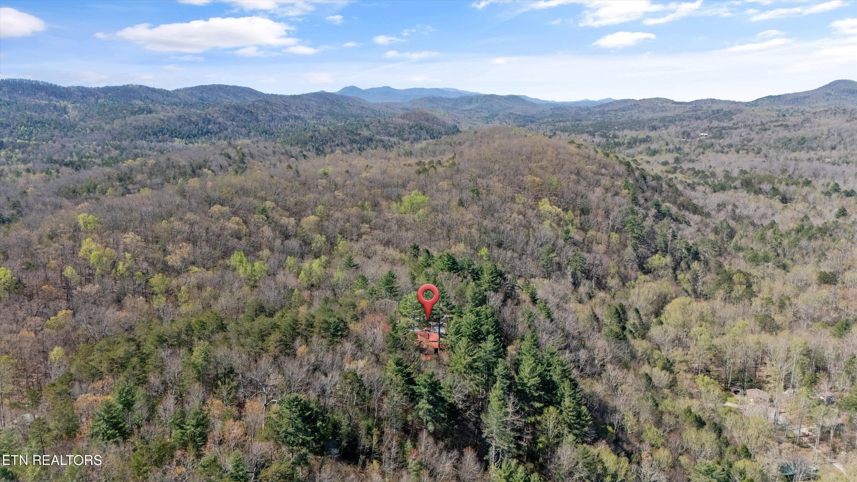 151 Gold Miners Road Tellico Plains, TN 37385 - Photo 59 of 59 43-151 Gold Miners-44