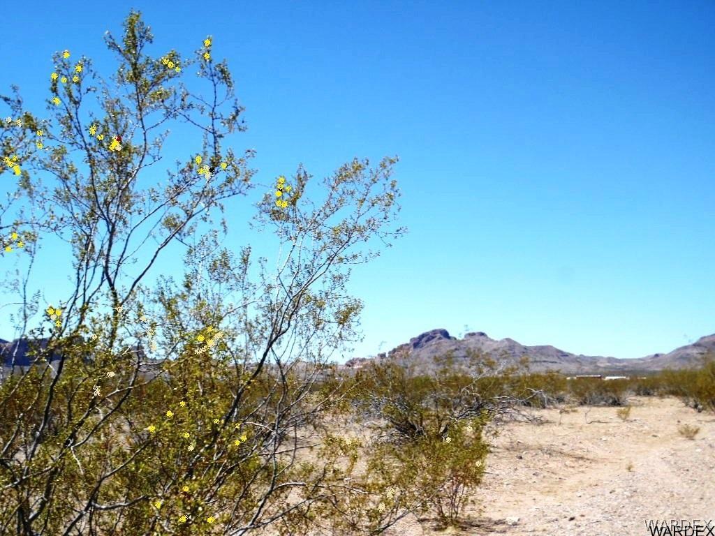 949 South Escuela Road Golden Valley, AZ 86413 - Photo 23 of 24 Mountain View