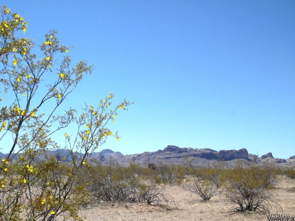 949 South Escuela Road Golden Valley, AZ 86413 - Photo 24 of 24 Mountain Views