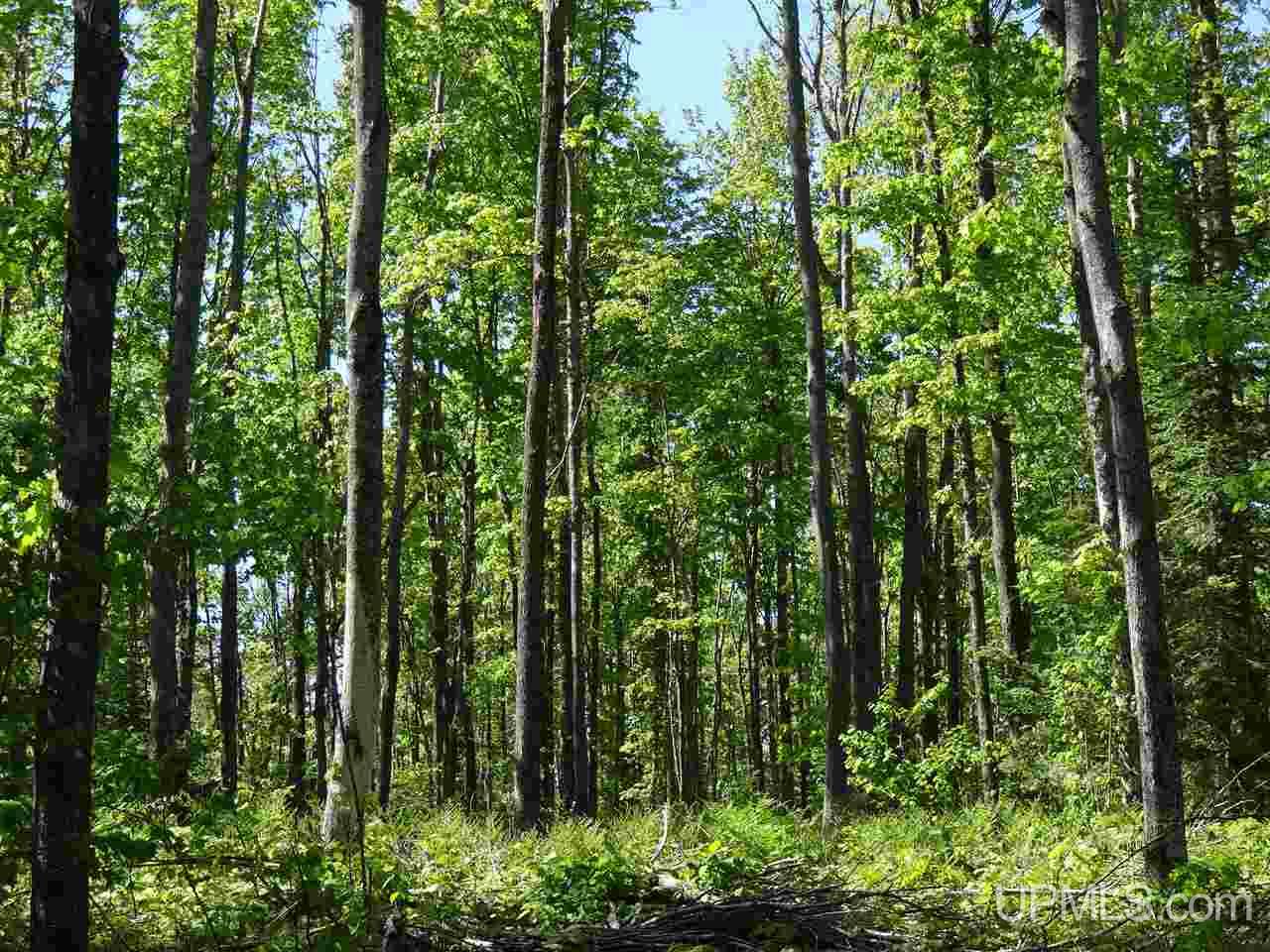 Tbd West Heinola Road Atlantic Mine, MI 49931 - Photo 12 of 17