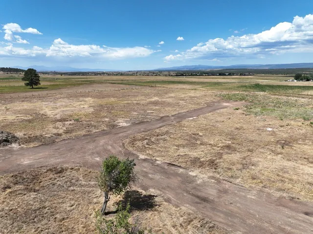 a view of a pathway with a yard