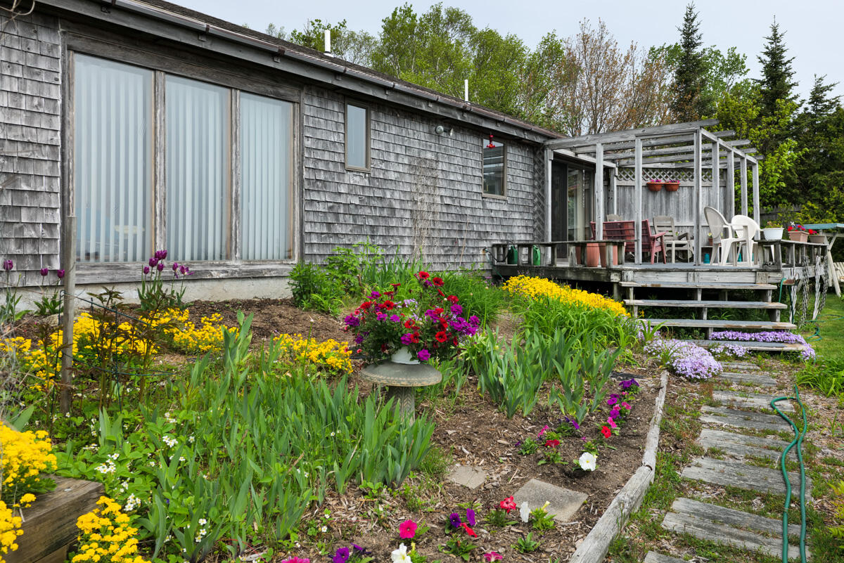 489 Mason Bay Road Jonesport, ME 04649 - Photo 38 of 63 Perennial gardens