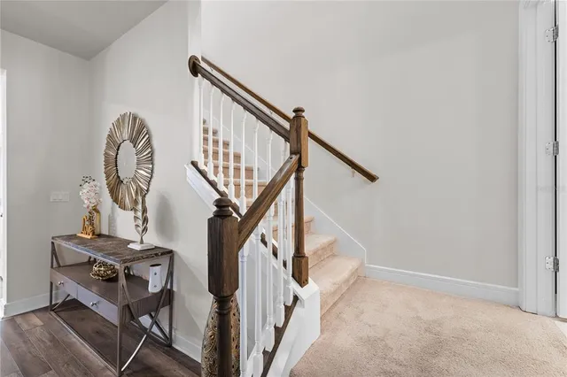 a potted plant in front of a window