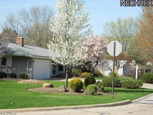 1740 Overbrook Road Lyndhurst, OH 44124 - Photo 8 of 19